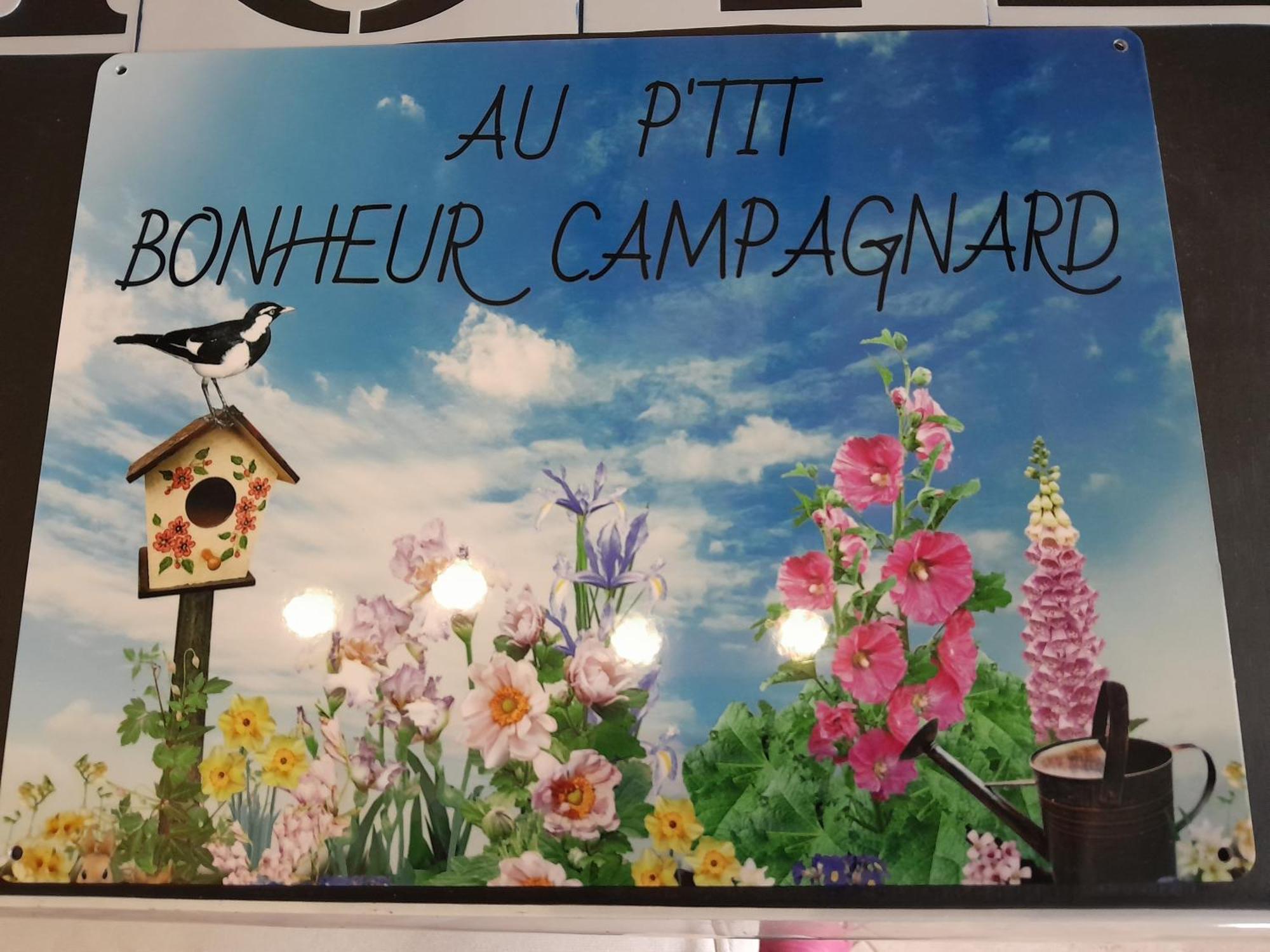 Chambres D Hotes Au P'Tit Bonheur Campagnard Jarnosse Exterior photo